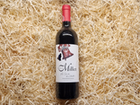 Vin Côtes de Gascogne rouge "Millet"
