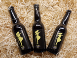 Bière Larmorienne Blond Ale - 33cl