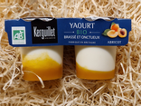 Yaourt bio abricot 2x125gr