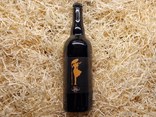 Bière Larmorienne Pale Ale - 75cl