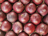 Nectarines de vigne