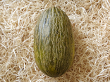 Melon d'eau vert