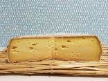 Tomme au lait de vache