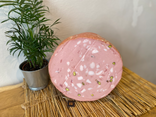 Mortadelle artisanale à la Pistache - 100 g