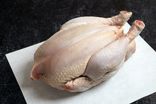 Dinde de Thanksgiving