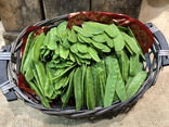 Haricot Mangetout