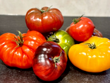 Assortiment de tomates de couleur