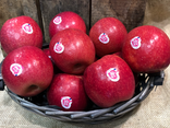 Pomme Pink Lady