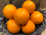 Orange à jus