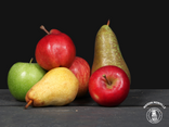 Panier de fruits et légumes de saison