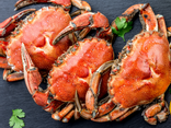 Demi Crabe