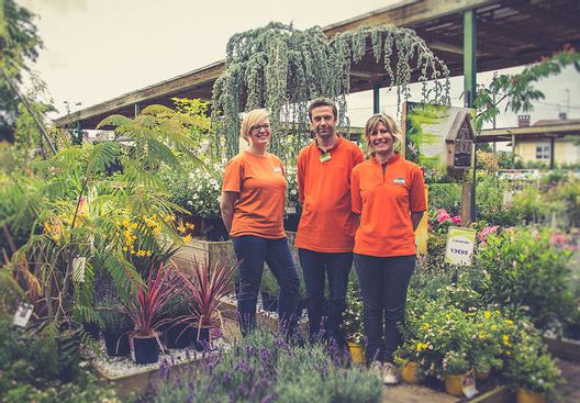 Livraison Autres Jardiland Petit Quevilly A Le Petit Quevilly Ollca Livraison Autres Jardiland Petit Quevilly A Le Petit Quevilly Ollca