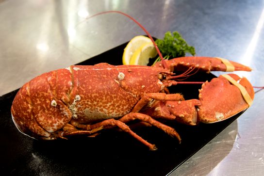 Homard bleu cuit maison (A commander la veille)