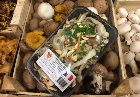 Mélange de champignons