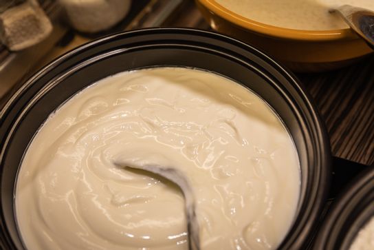Fromage Blanc Bio