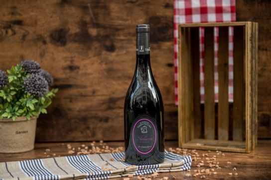 Niellucciu, domaine de Terra Vecchia - 2017