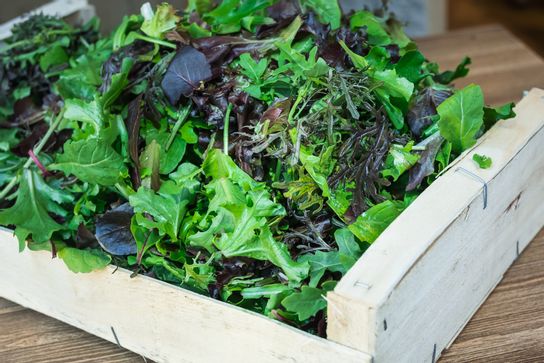 Mesclun