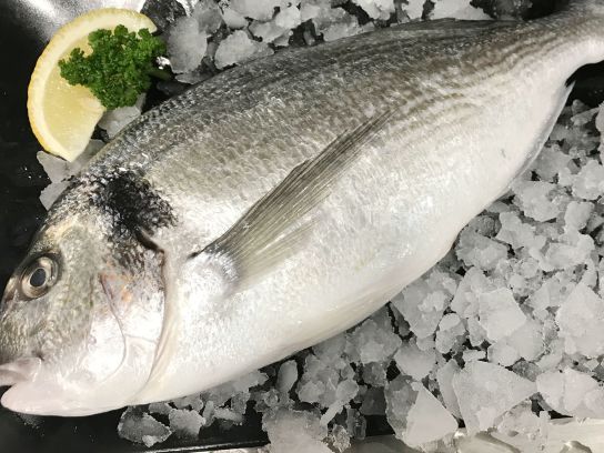 Filet de Dorade