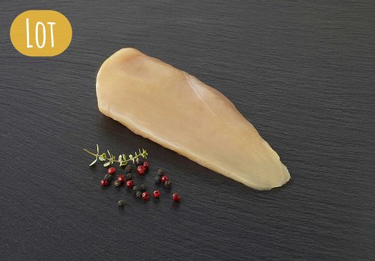 Lot de 10 filets de poulet