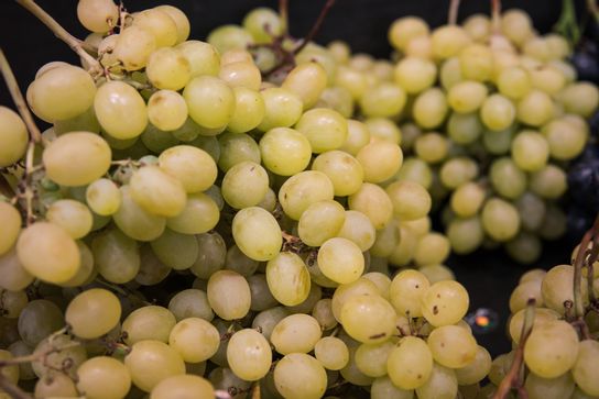 Raisin blanc