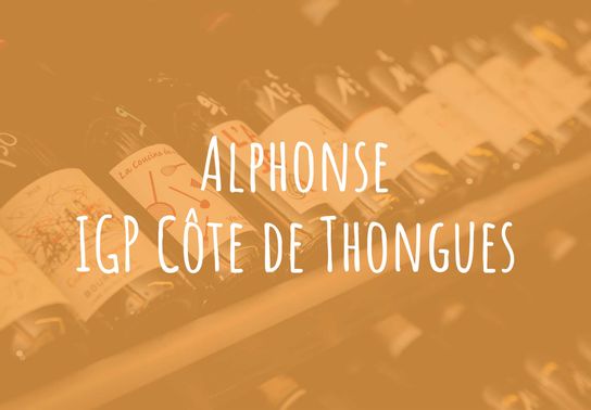 Alphonse, IGP Côte de Thongues