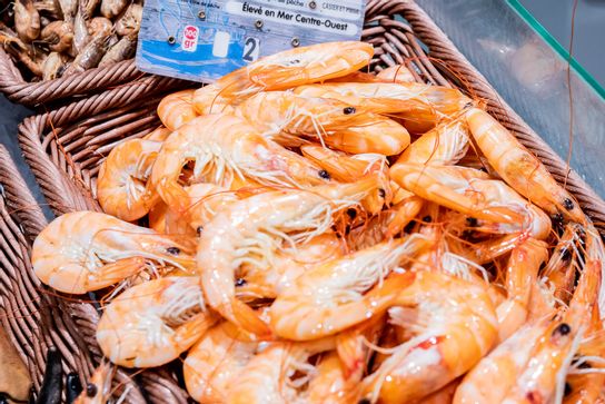 Crevettes roses