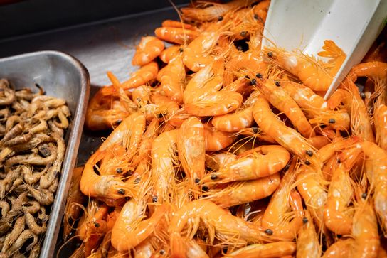 Crevettes de Madagascar