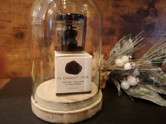 Truffe noire du Périgord (12 g)