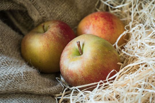 Pommes Jonagolds
