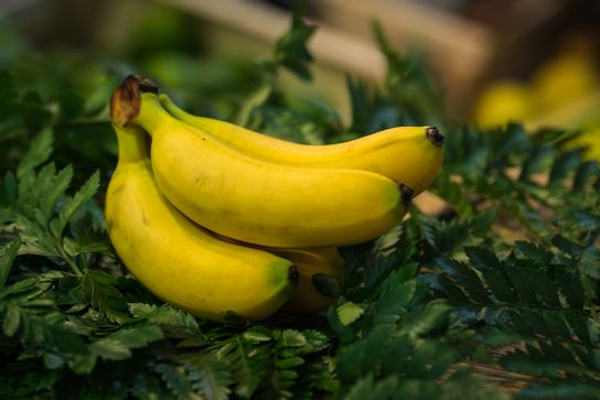 Livraison Baby Banane A Rennes Le Palais Du Fruit Rennes Ollca