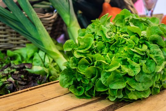 Salade verte