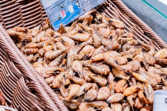 Crevettes grises