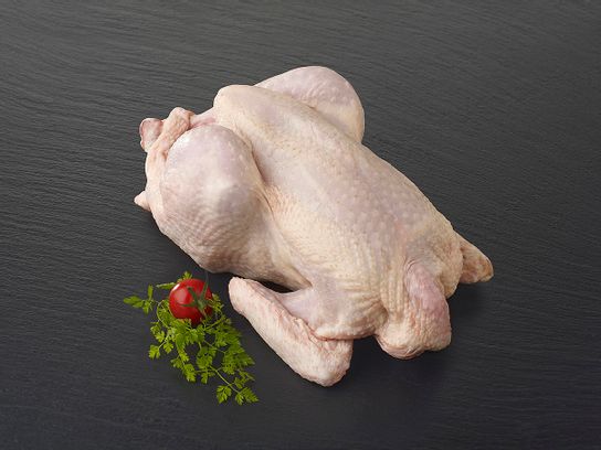 Poulet entier petit environ 1,6 Kg