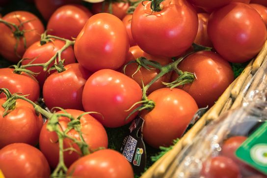 Tomate grappe