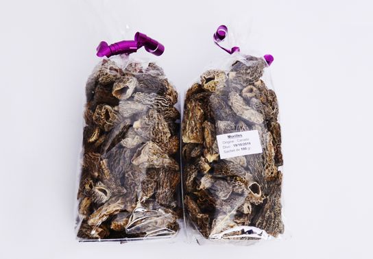 Morilles origine Canada 100g