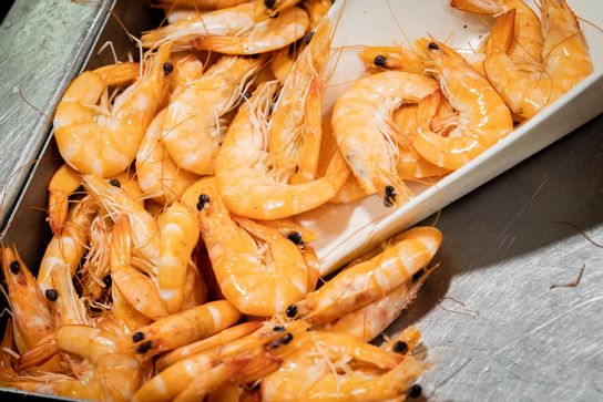 Crevettes Equateur