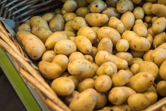 Pomme de terre grenaille Nouvelle