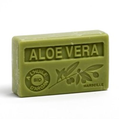 Aloé vera