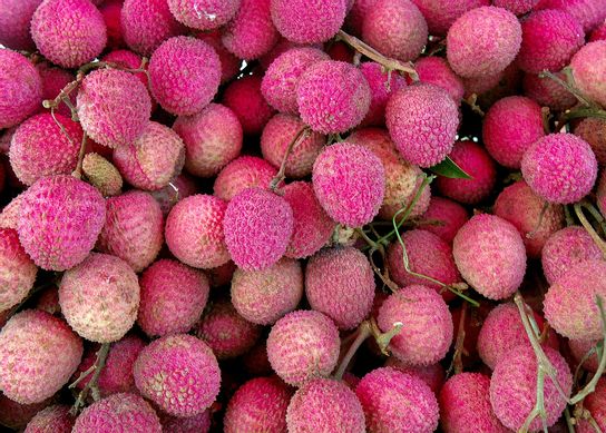 Litchi extra réunion