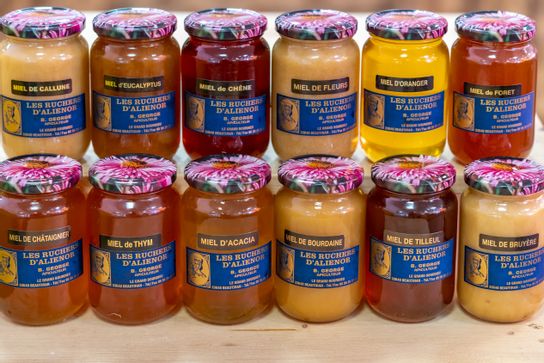 Miel - Forêt - 500g