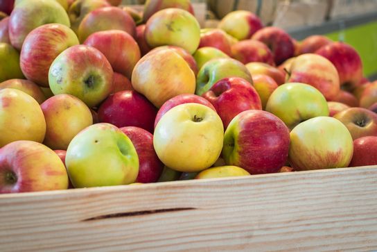 Pomme Gala promo