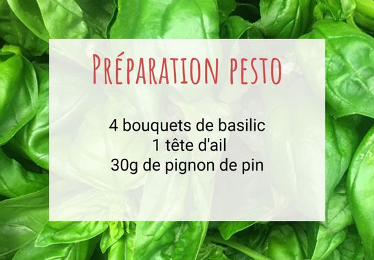 Préparation Pesto