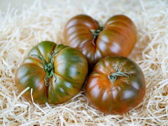 Tomates noires de Crimée