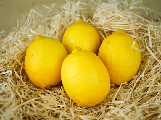 Citron jaune Bio