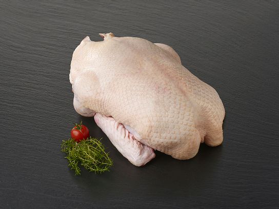 Canette farcie  Farce fine