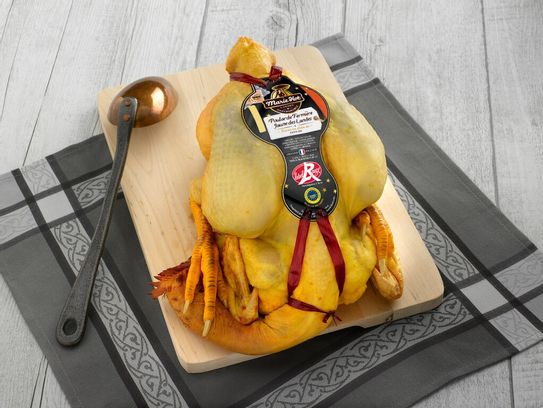 Poularde jaune fermière 4-6 p