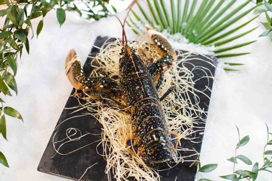 Homard (délai 48H)