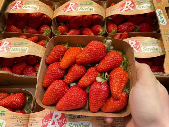 FRAISE GARIGUETTE DE PLOUGASTEL