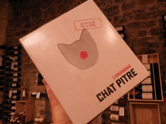 Chat Pitre de L'Amandaie