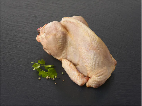 Pintade de Bourgogne